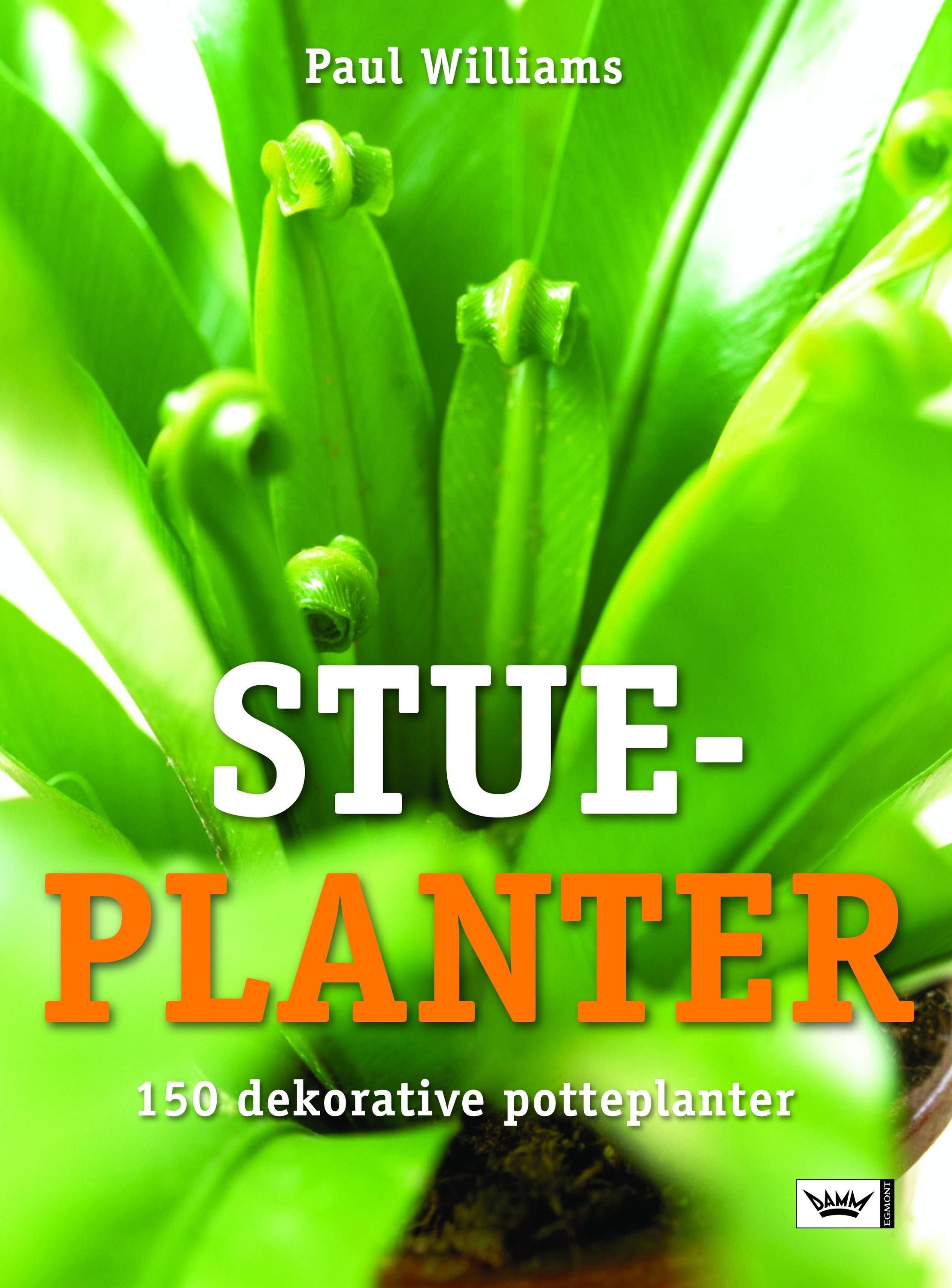 Zimmerpflanzen