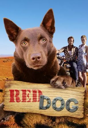 Red dog