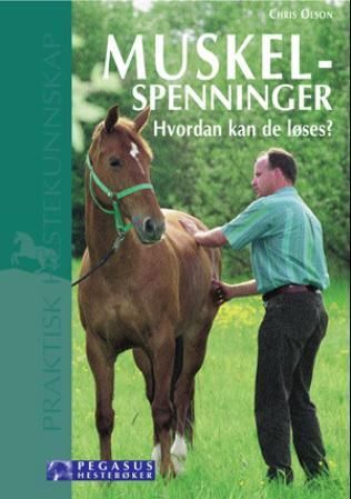 Muskelverspannungen bei Pferden lösen