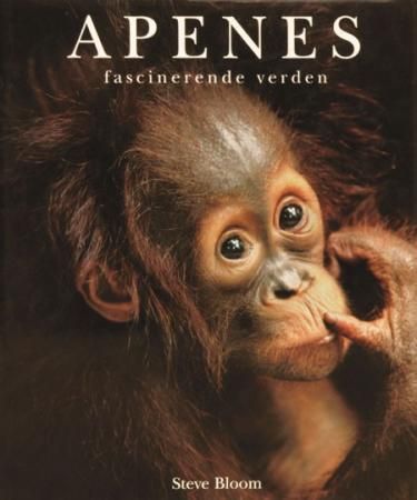 In praise of primates