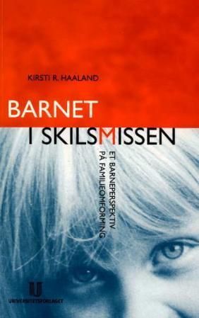 Barnet i skilsmissen