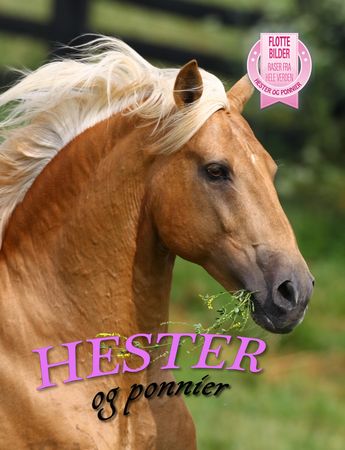 Dreaming of horses