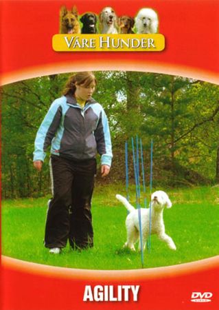 Agilityhund