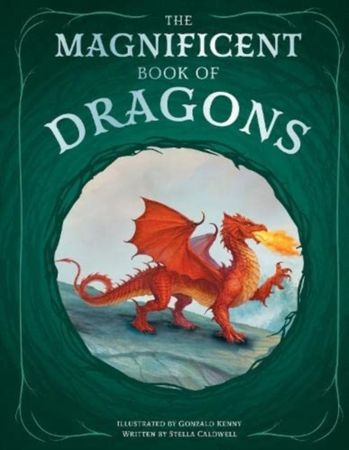 The magnificent book of dragons