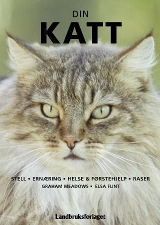 The complete guide to caring for your cat