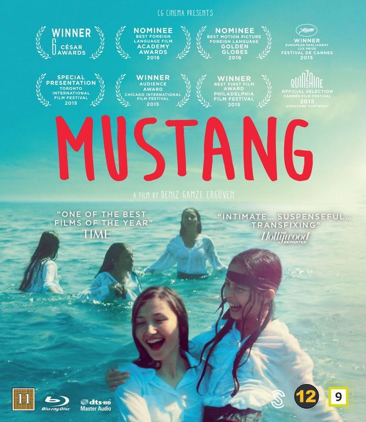 Mustang