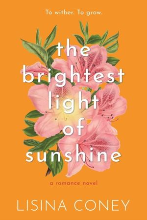The brightest light of sunshine