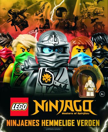 Secret world of the ninja
