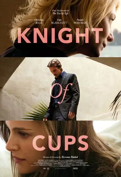 Knight of cups