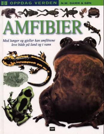 Amphibians