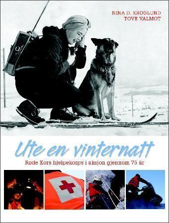 Ute en vinternatt