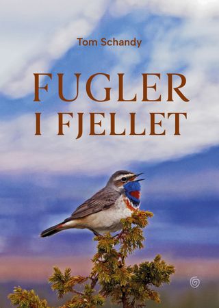 Fugler i fjellet