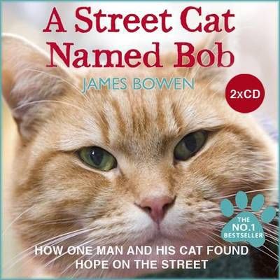 A street cat named Bob