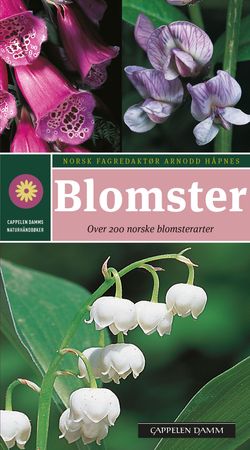 Blumen, einfach und sicher bestimmen
