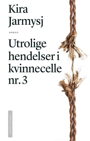 Neverojatnyje proisjestvija v zjenskoj kamere no 3