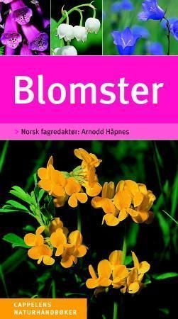 Blumen einfach und sicher bestimmen