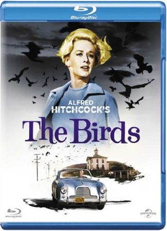 The birds