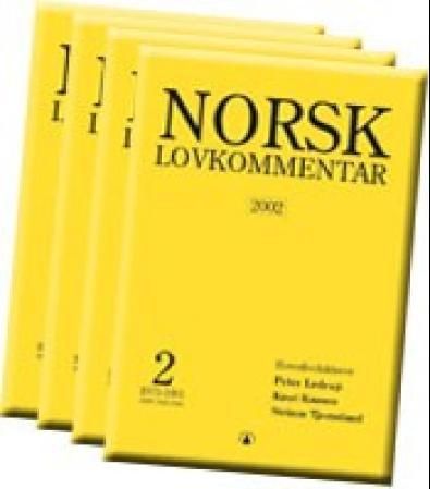Norsk lovkommentar 2002