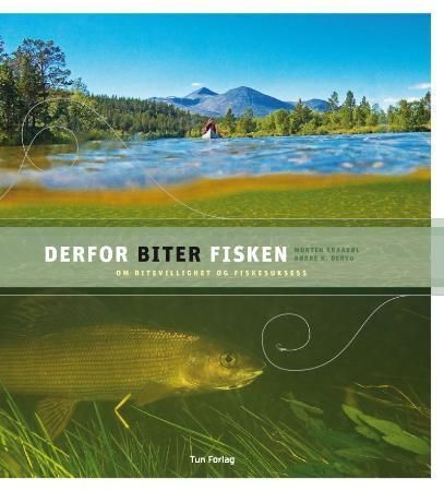Derfor biter fisken