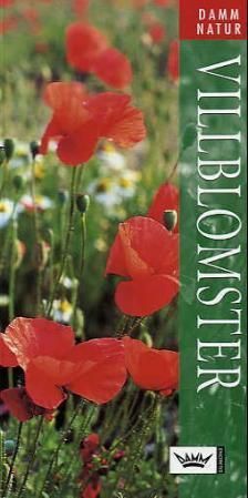 Wild flowers