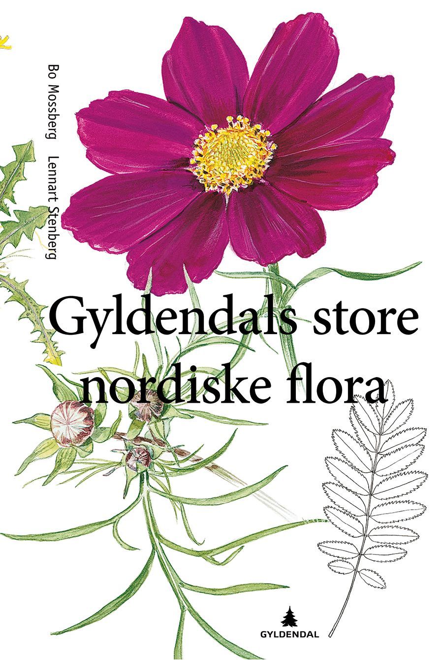 Nordens flora