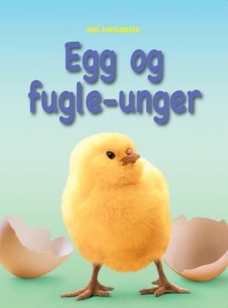 Eggs and chicks