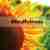 Mindfulness for beginners