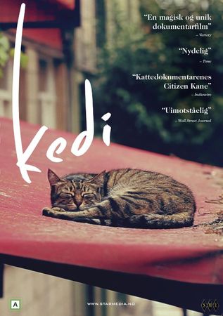 Kedi