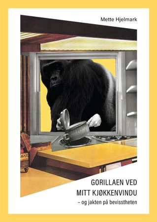 Gorillaen ved mitt kjøkkenvindu