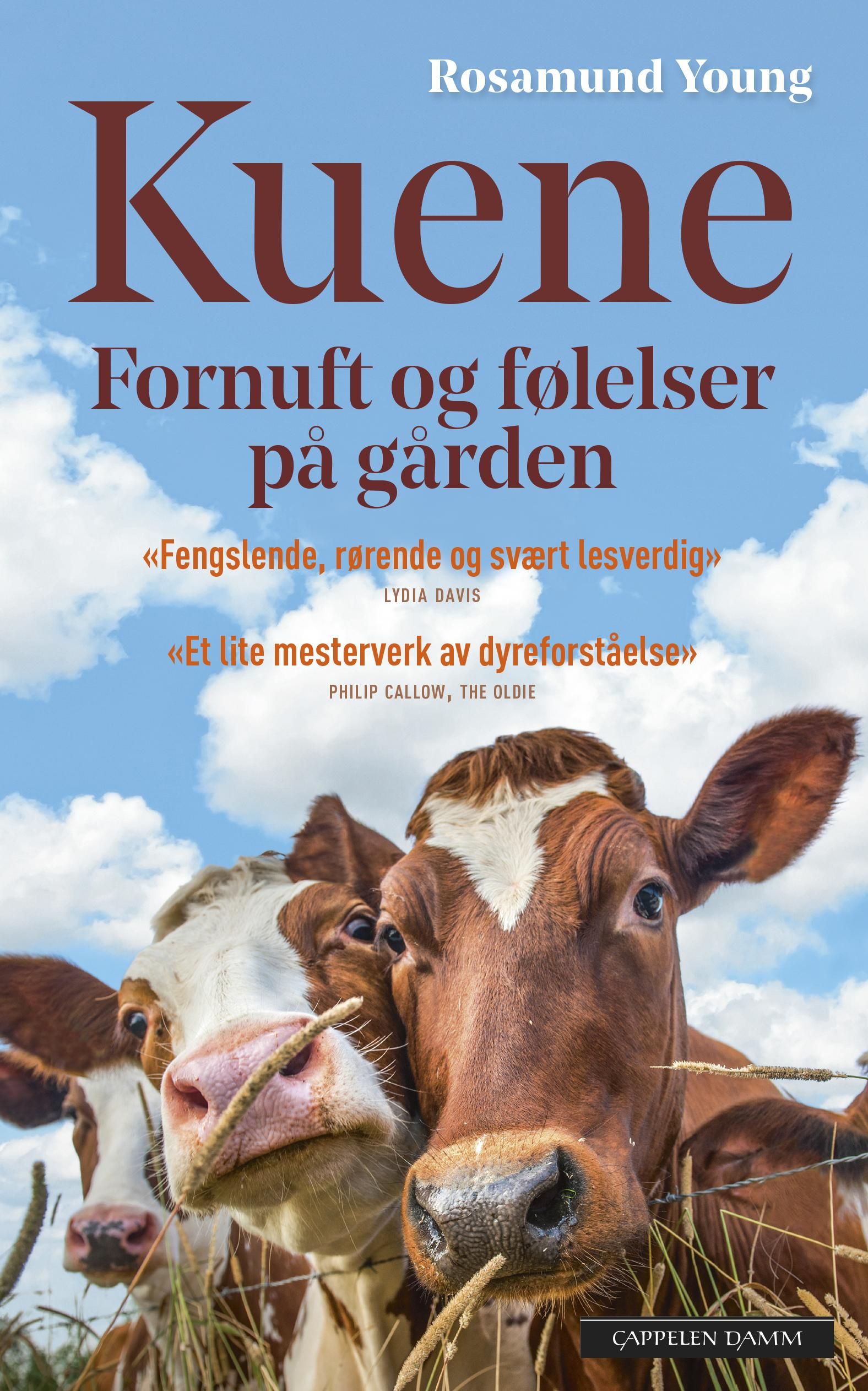 The secret life of cows
