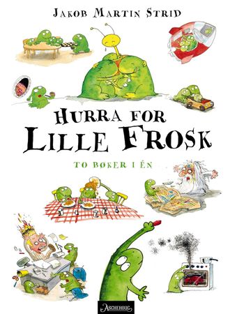 Lille Frø bygger rumraket