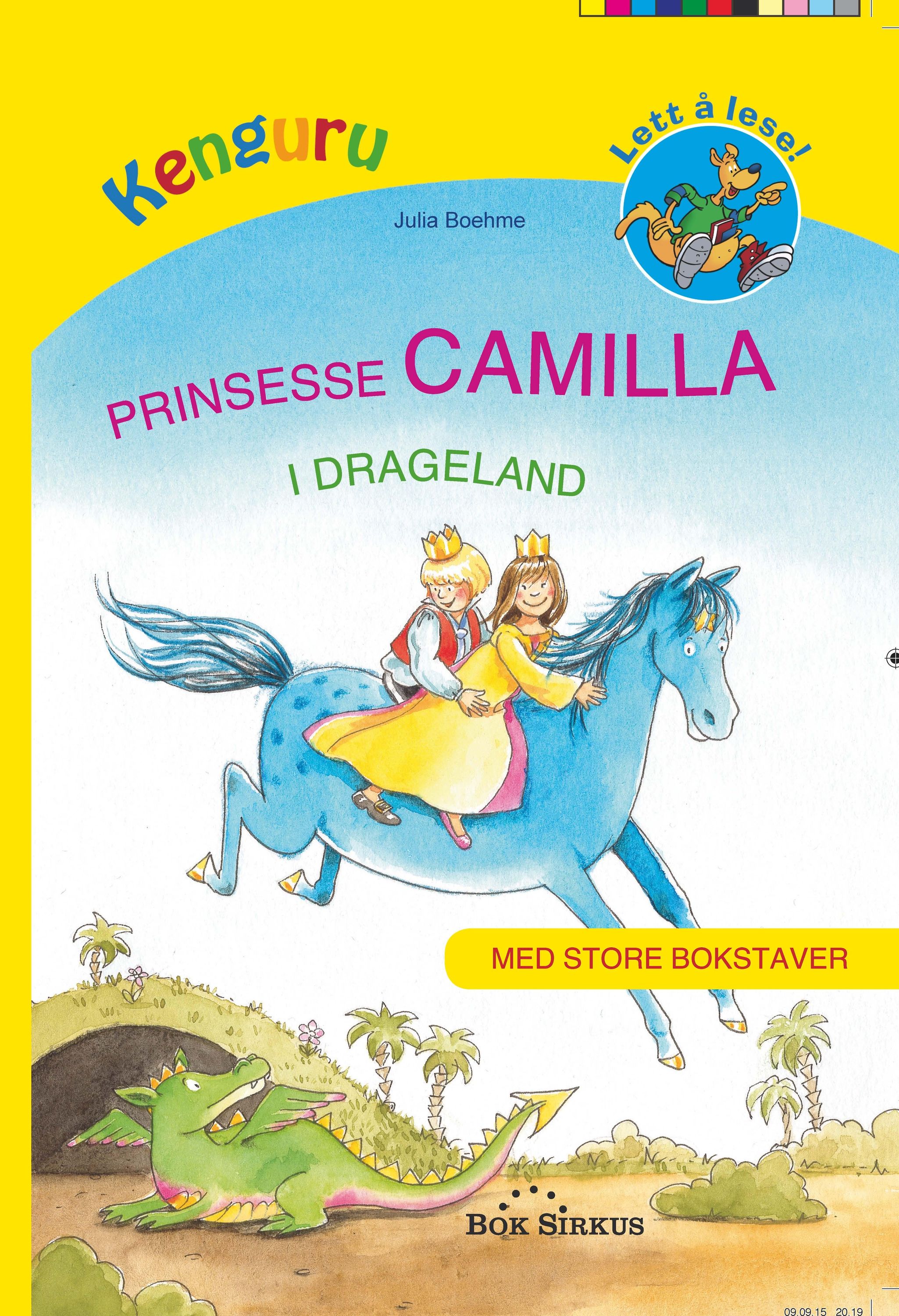 Die Prinzessin und das blaue Pferd im Drachenland