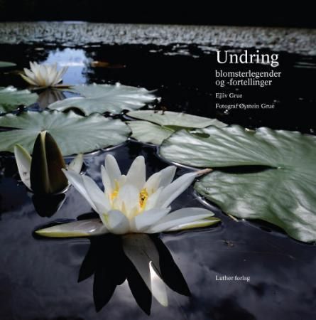 Undring