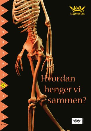 Hur håller vi i hop?
