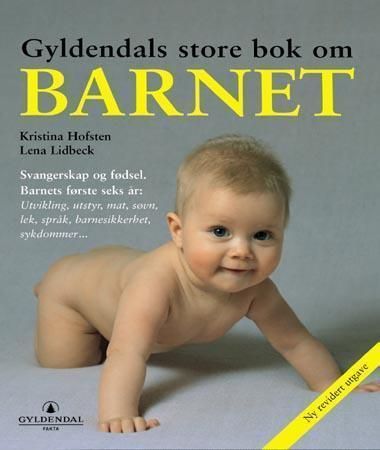 Stora boken om barn