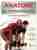 Anatomy of exercise