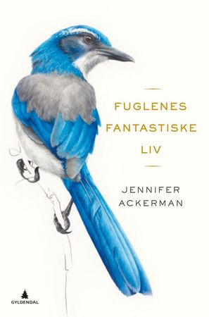 The genius of birds