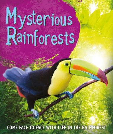 Mysterious rainforest