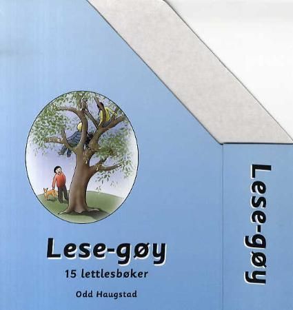 Lese-gøy. Bok 9