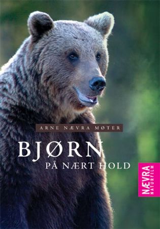 Bjørn på nært hold