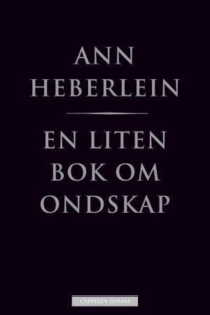 En liten bok om ondska