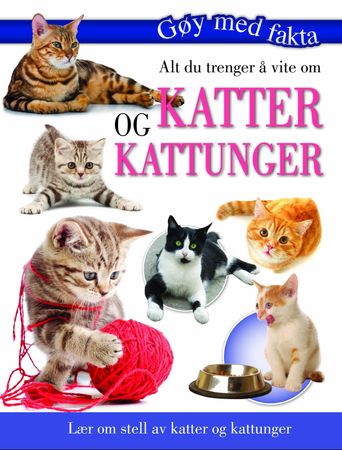 Caring for cats and kittens