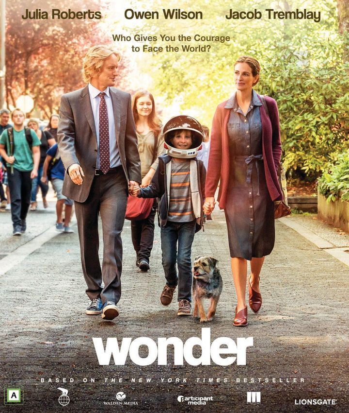 Wonder