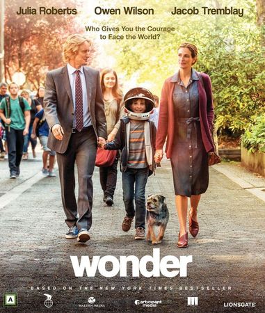 Wonder