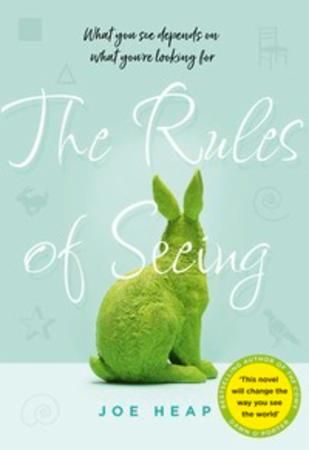 The rules of seeing