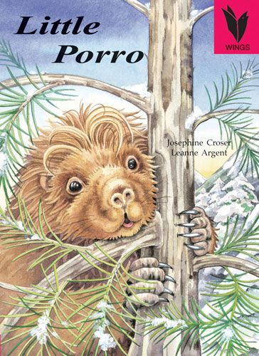 Little Porro