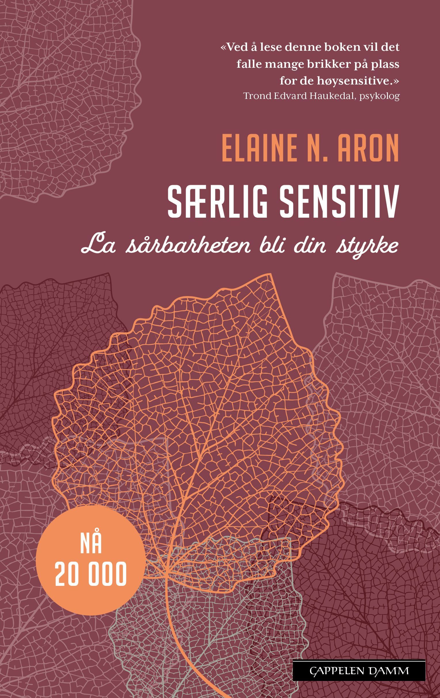The highly sensitive person
