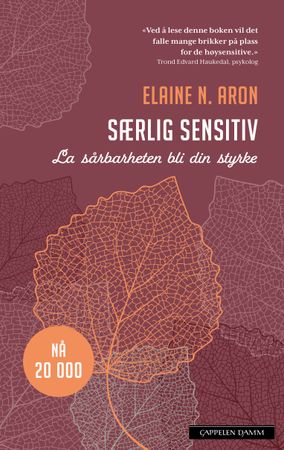 The highly sensitive person