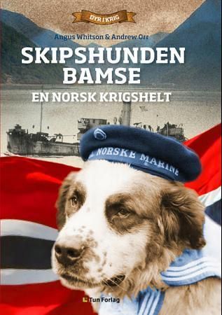 Sea dog Bamse