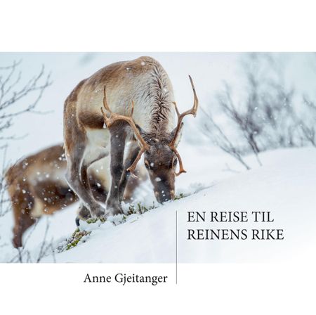 En reise til reinens rike